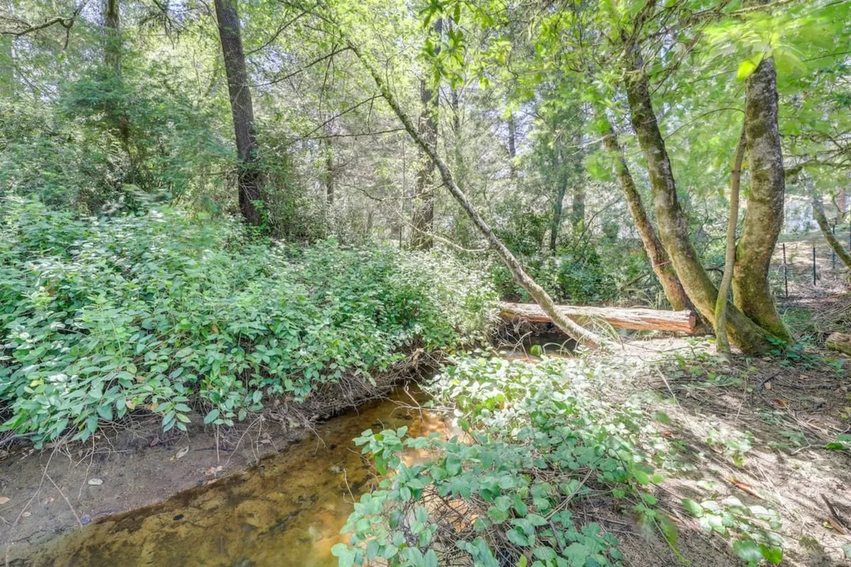 A peaceful exterior scene showcasing a meandering creek surrounded by lush greenery and sunlight filtering through the trees. Fallen logs and dense foliage suggest a natural, untouched setting perfect for outdoor exploration and riverside relaxation.